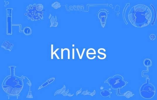 knives（英语单词