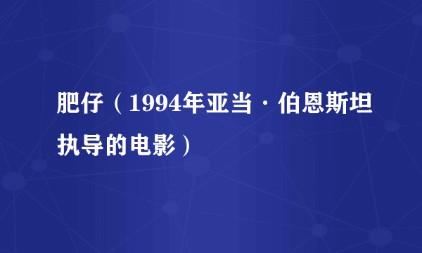肥仔（1994年亚当·伯恩斯坦执导的电影）