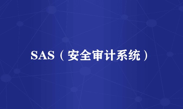 SAS（安全审计系统）