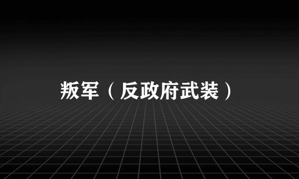 叛军（反政府武装）