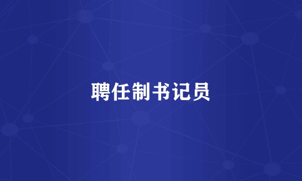 聘任制书记员