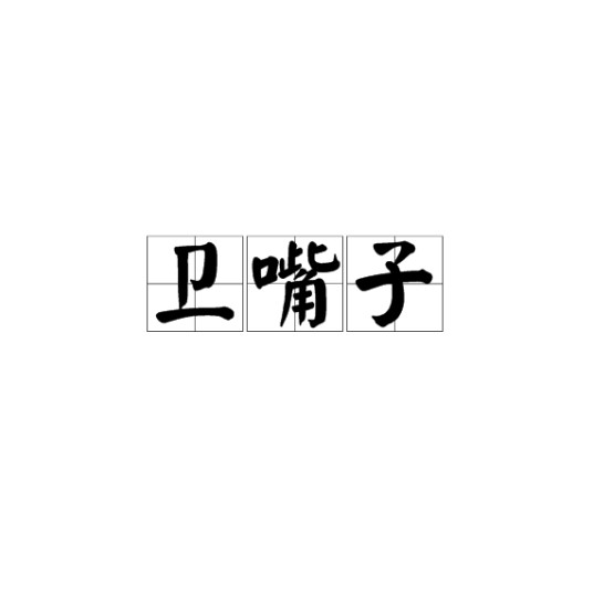 卫嘴子（形容天津人能说会道的地域性称谓）