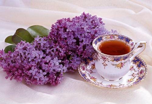 薰衣草茶