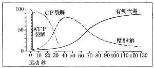 运动知觉