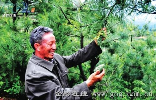 文朝荣（贵州省毕节市赫章县河镇乡海雀村原党支部书记，最美奋斗者）