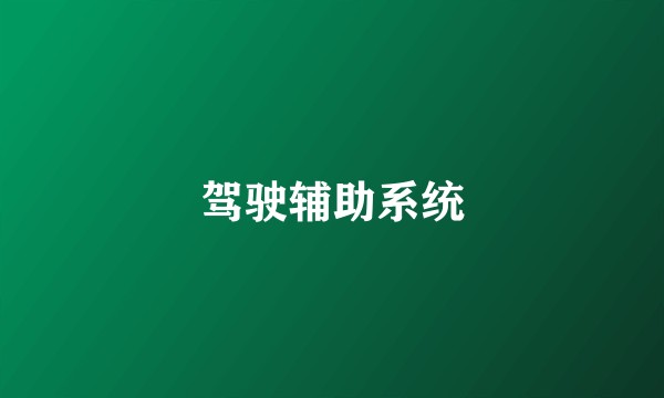 驾驶辅助系统