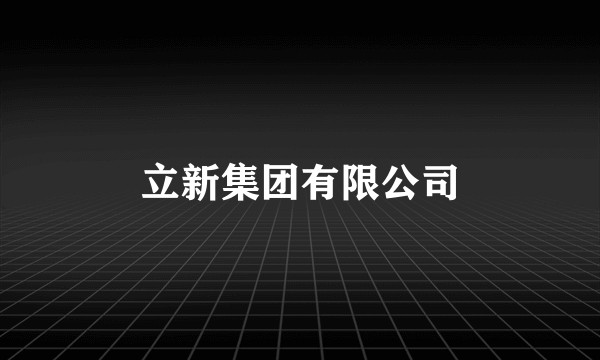 立新集团有限公司