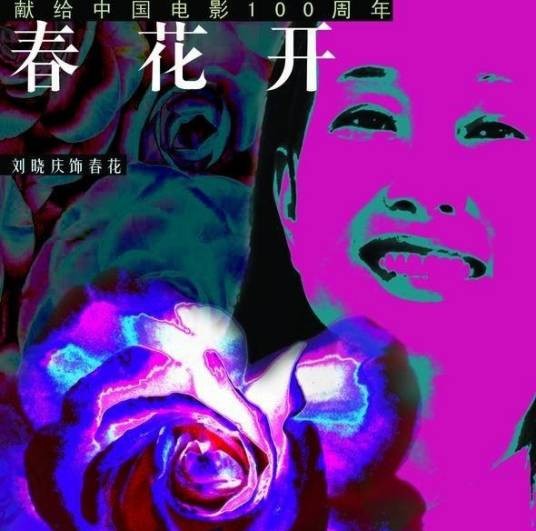 春花开（2004年刘冰鉴执导的电影）