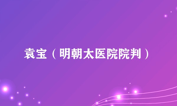 袁宝（明朝太医院院判）