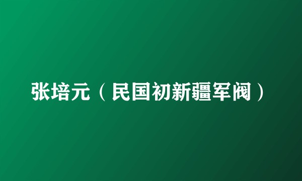 张培元（民国初新疆军阀）