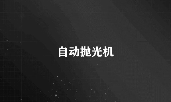 自动抛光机