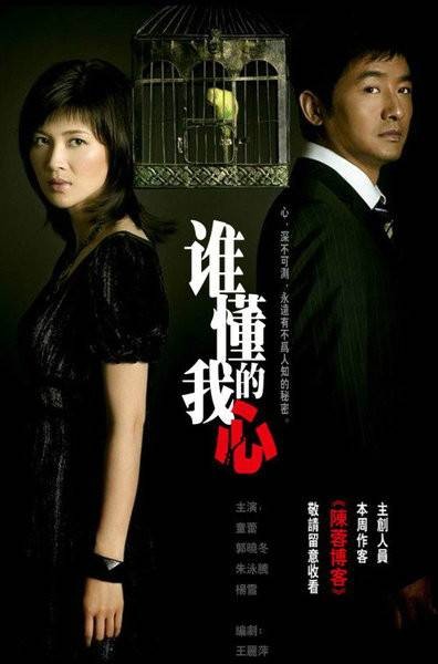 谁懂我的心（童蕾，郭晓东主演电视剧）