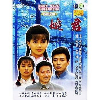 婉君（1990年刘立立执导的古装剧）