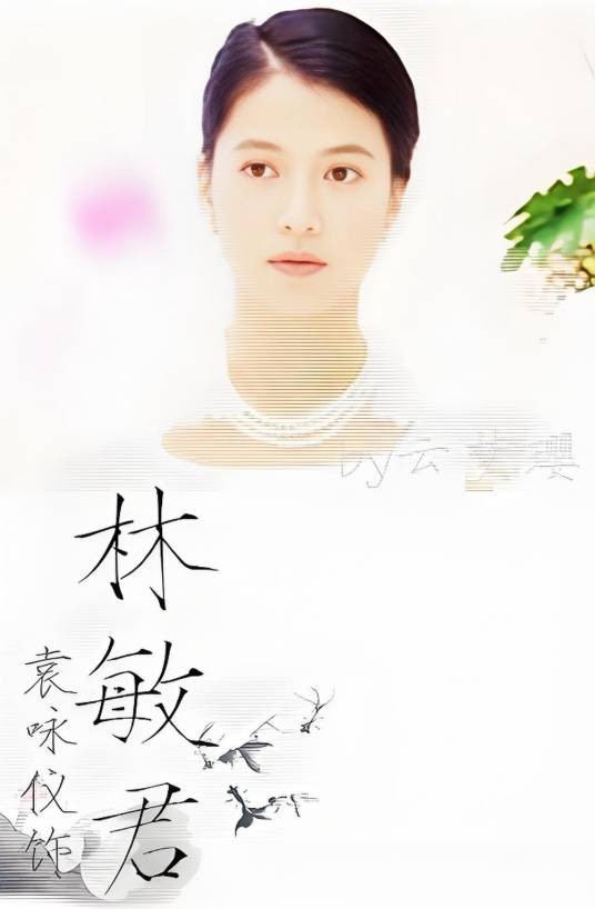 林敏君（电视剧《真爱之百万新娘》女主角）