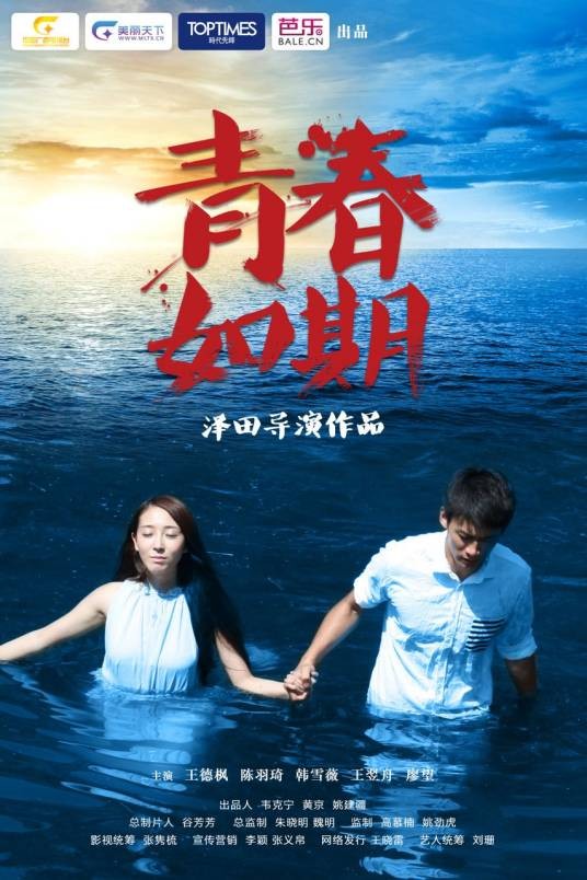 青春如期(影视作品)