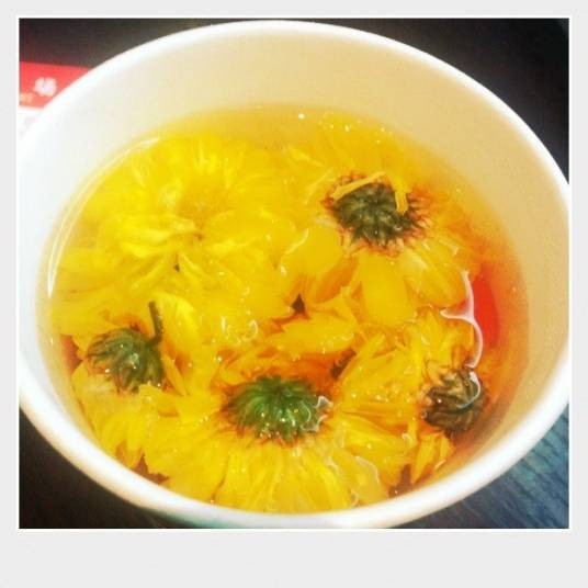 枸杞子菊花茶