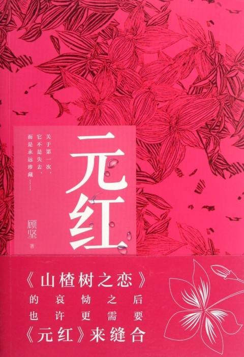 元红（顾坚创作长篇小说）