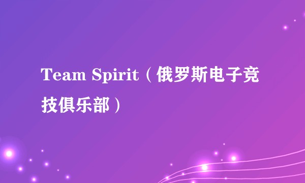 Team Spirit（俄罗斯电子竞技俱乐部）