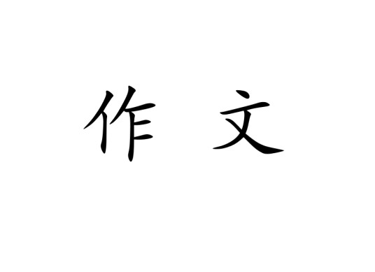 作文(通过文字来表达一个主题意义的记叙方法)