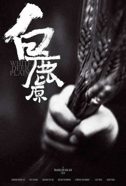 白鹿原（2012年王全安执导的剧情电影）
