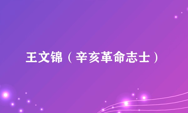 王文锦（辛亥革命志士）