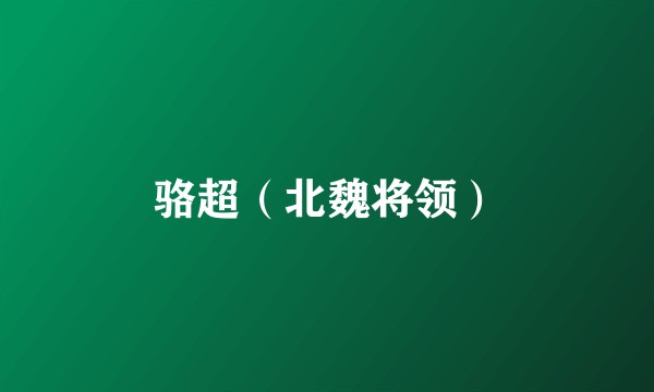 骆超（北魏将领）