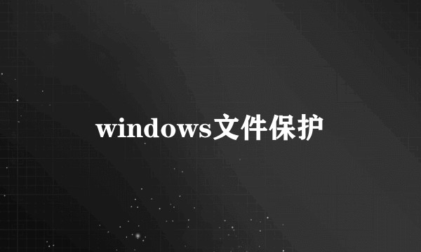windows文件保护