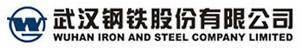 武汉钢铁股份有限公司