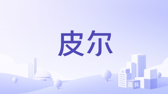 皮尔（美国PEER轴承公司）
