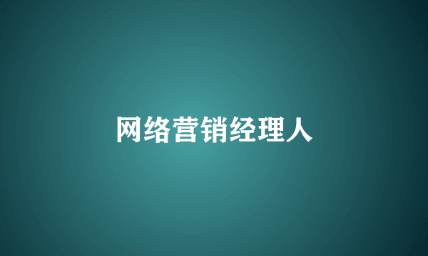 网络营销经理人