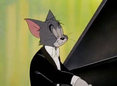 猫的协奏曲