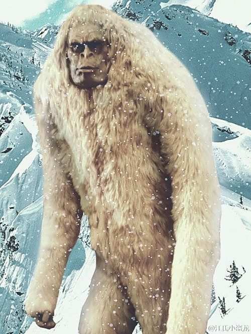 喜马拉雅雪人（界于人和猿之间的神秘生物）