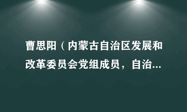 曹思阳（内蒙古自治区发展和改革委员会党组成员，自治区能源局党组书记）