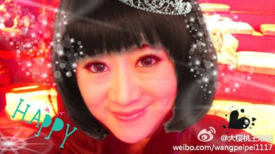 王培培（中国内地女制片人，黑龙江广播电视台卫视传媒事业部副主任）