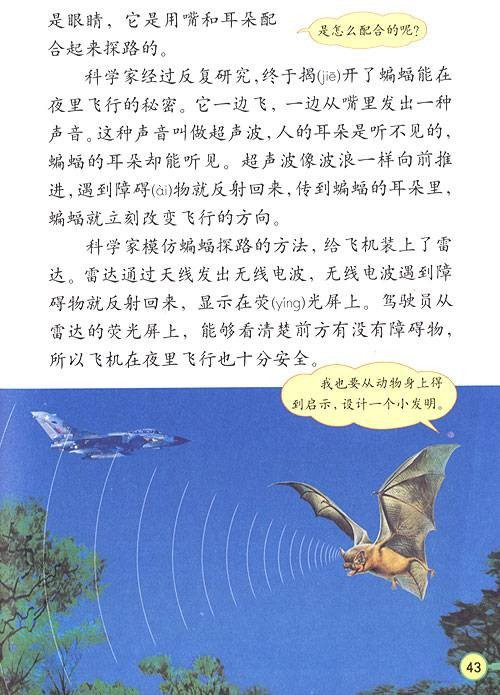蝙蝠和雷达
