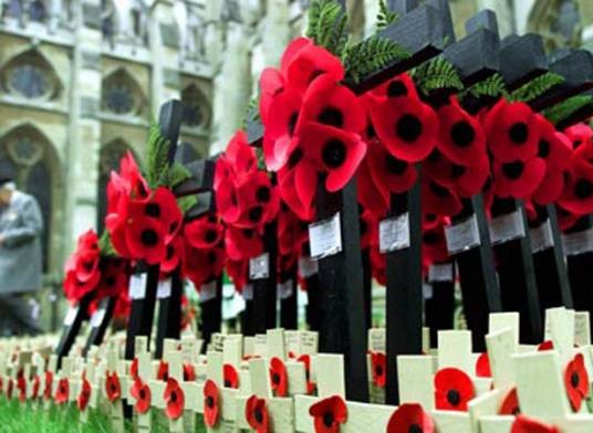 阵亡将士纪念日(设定在11月11日的英联邦国家停战纪念日)