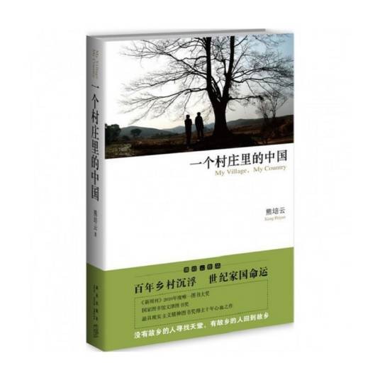 一个村庄里的中国