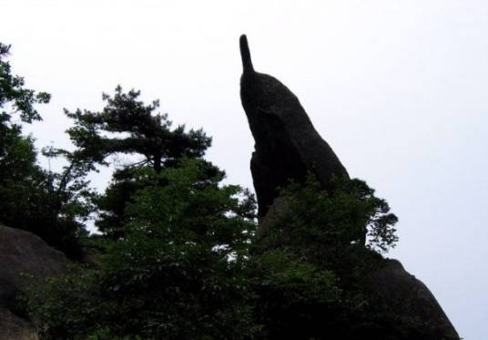 黄山奇石（语文课文）