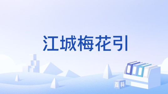 江城梅花引（词牌名）