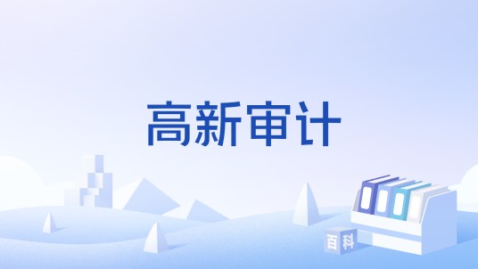 高新审计