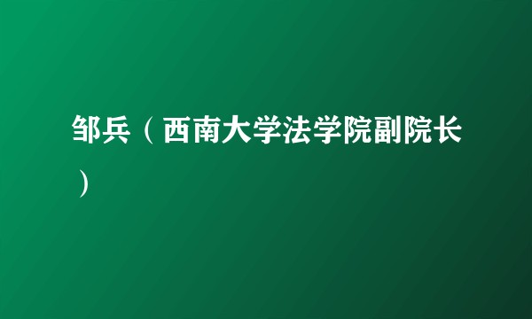 邹兵(西南大学法学院副院长)