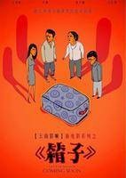 箱子(2007年王分执导电影)