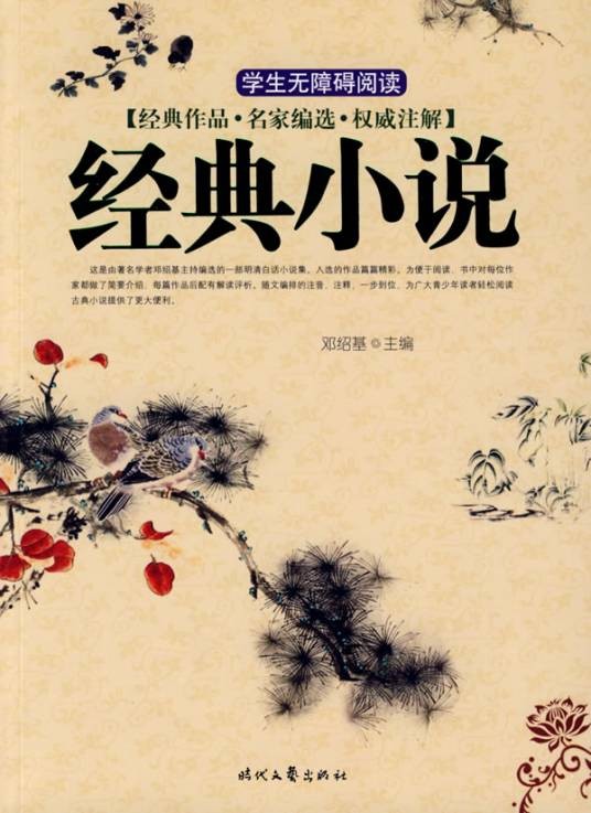 小说(一种叙事性的文学体裁)