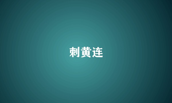 刺黄连