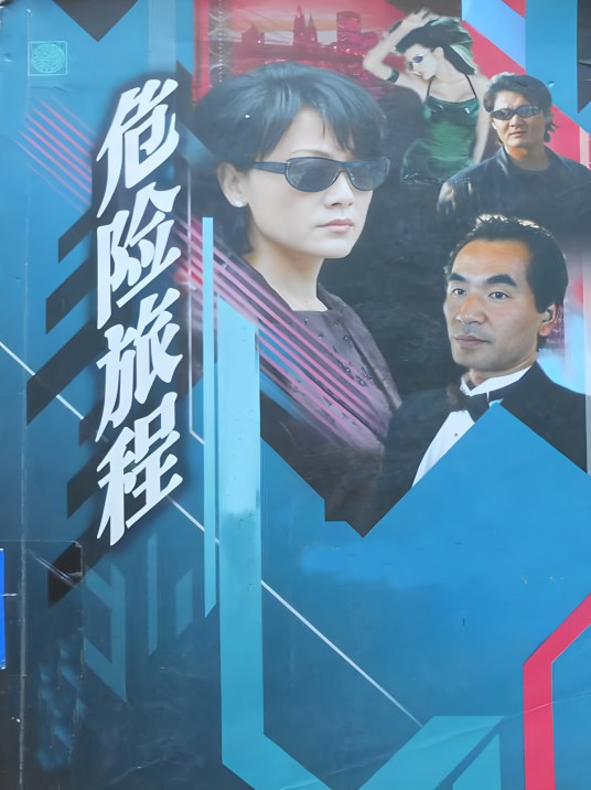 危险旅程（2003年沈涛执导的电视剧）