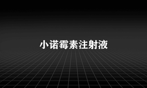 小诺霉素注射液