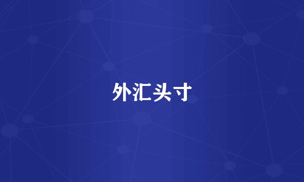 外汇头寸