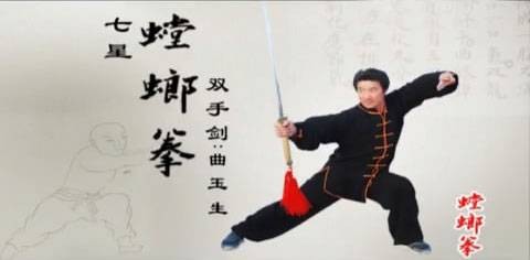 七星螳螂拳（中国传统武术拳法）