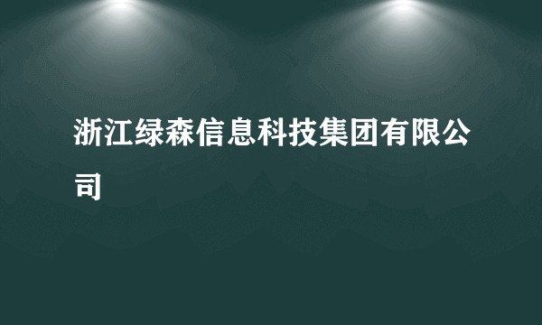 浙江绿森信息科技集团有限公司