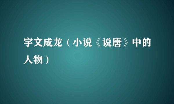 宇文成龙（小说《说唐》中的人物）